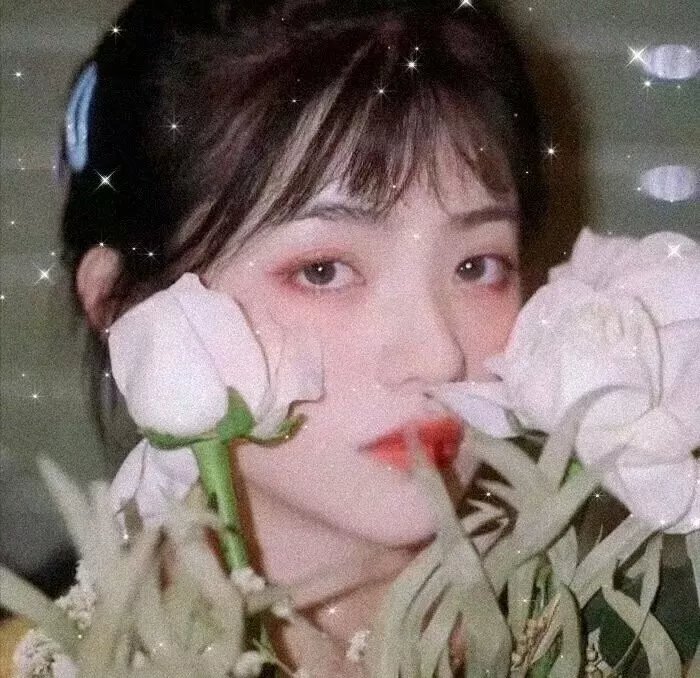 小夜刀：最后的吸血鬼